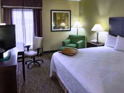 Hotel Hampton Mebane